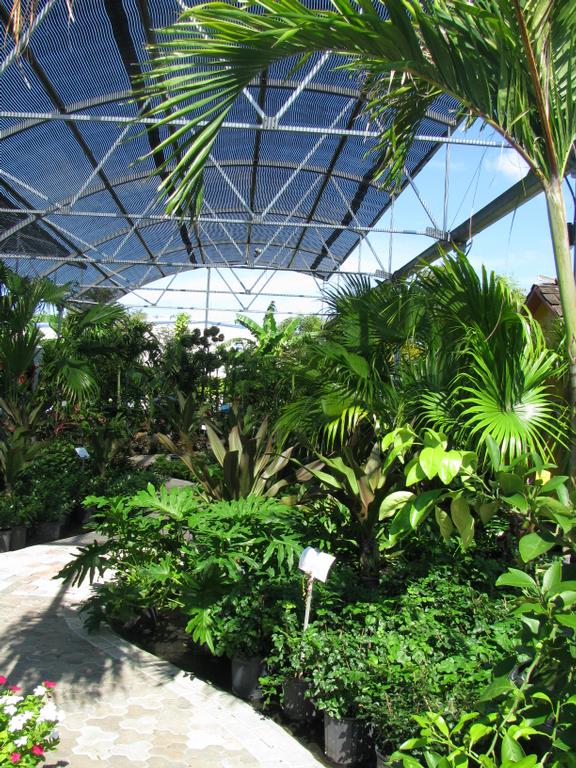 Wizzard Lake Nursery DBA Tree Wizzard Naples FL 34109 2395974414